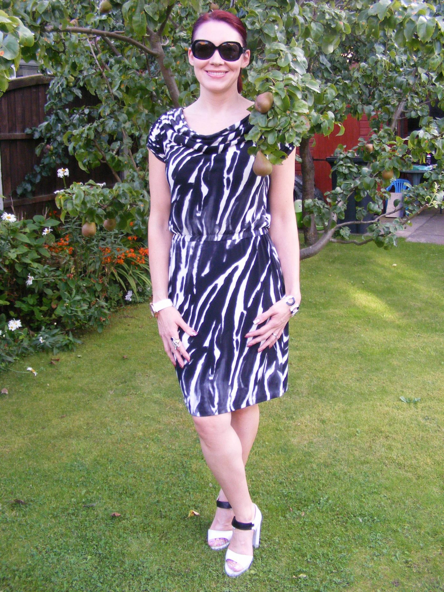 Wallis Zebra Print Dress